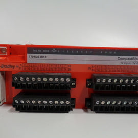 Allen Bradley via TCS 1791DSIB12 Ser. A NSFP (BR/WH) 1791 DSIB12