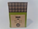 Allen Bradley via TCS 30A01 NSFP (BK/GR) 30 A01