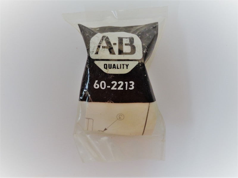 Allen Bradley via TCS 602213 NSFP 60 2213