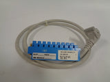 Allen Bradley via TCS 1492CABLE010E Ser. C NSFP (BR/WH) 1492 CABLE 010E