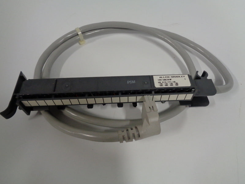 Allen Bradley via TCS 1492CABLE010F Ser. C NSNP 1492 CABLE 010F