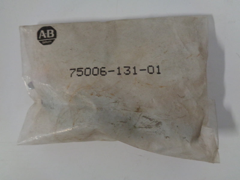 Allen Bradley via TCS 7500613101 NSFP 75006 131 01