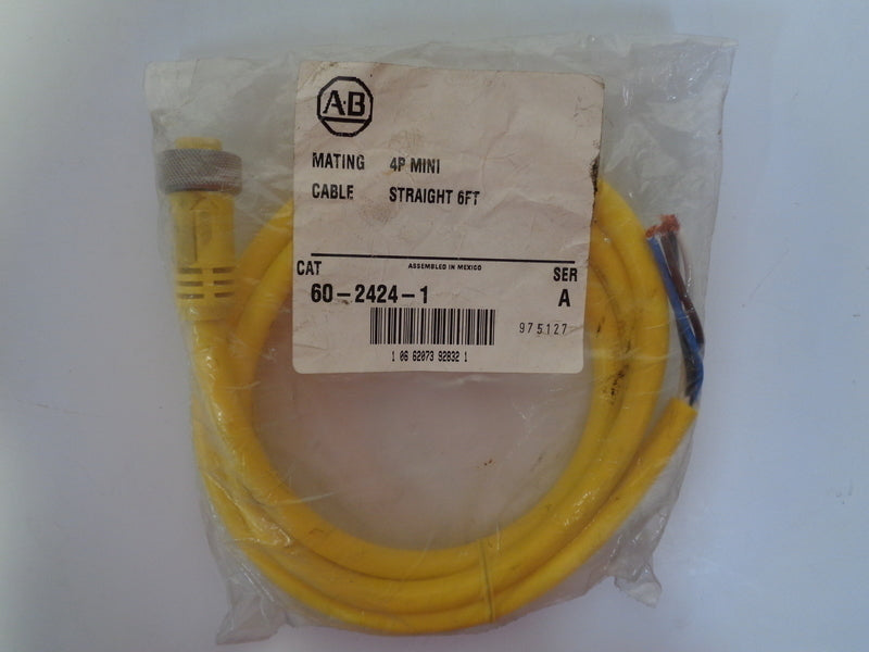 Allen Bradley via TCS 6024241 Ser. A NSFP 60 2424 1