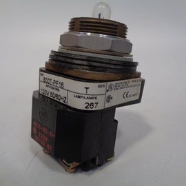 Allen Bradley via TCS 800TPF16 Ser. T NSFP (GY/BL) 800T PF16