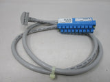 Allen Bradley via TCS 1492CABLE010B Ser.C NSNP