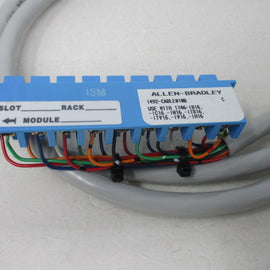 Allen Bradley via TCS 1492CABLE010B Ser.C NSNP