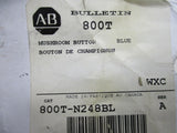 Allen Bradley via TCS 800TN248BL Ser. A NSNP 800T N248BL